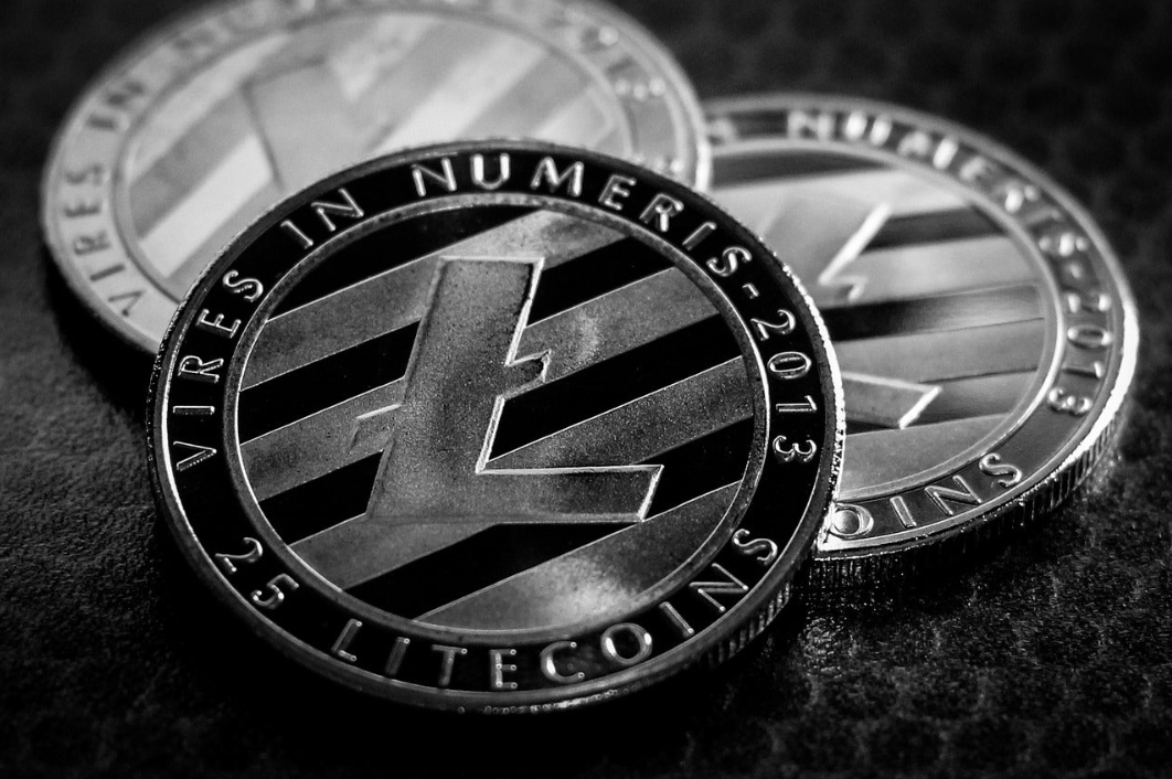 Litecoin with Case