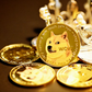 DogeCoin with case